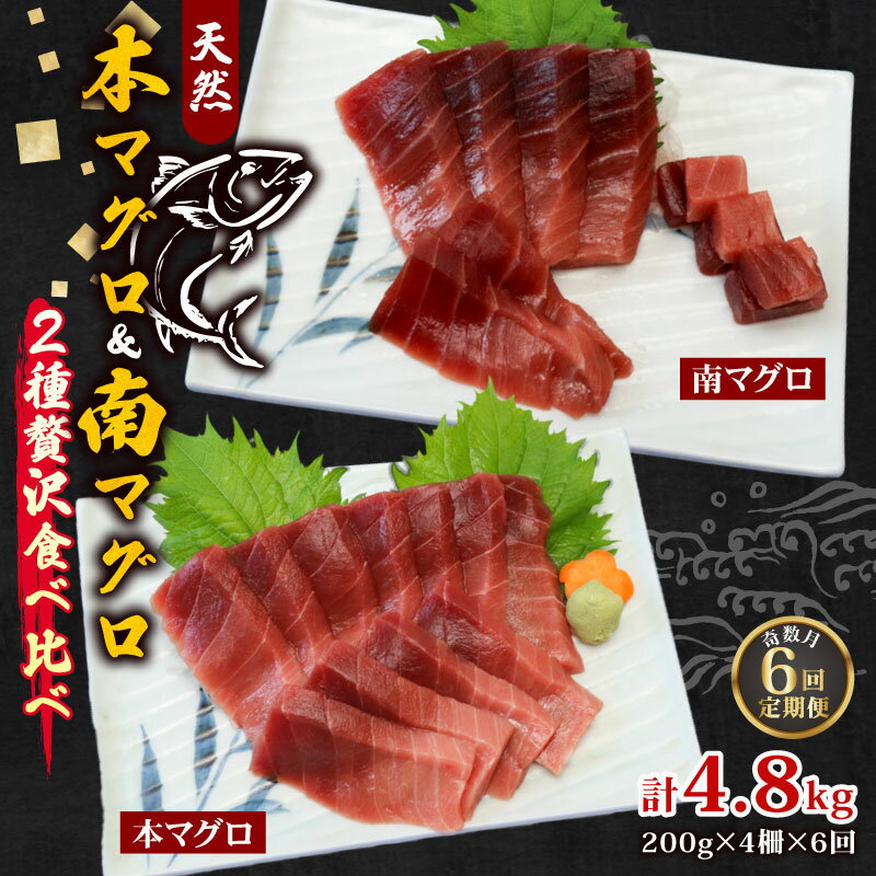 【ふるさと納税】 【6回定期便】 天然本マグロ　天然南マグロ　中トロ　各2柵　奇数月にお届け 刺身 漬け丼 海鮮丼 マグロ丼 ちらし寿司 鮪 まぐろ ネギトロ丼 魚介 惣菜 冷凍 送料無料 鮪 海鮮 冷凍 さしみ 高知 室戸 マグロ まぐろ 寿司 高級 ＜eb003＞