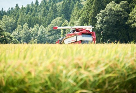 【令和7年産新米予約】コシヒカリ「やまびこ米」10kg(5kg×2袋) 玄米黒酢農法 金賞受賞 特別栽培米 白米 精米 農家直送 10月中旬より順次発送予定 1P03028