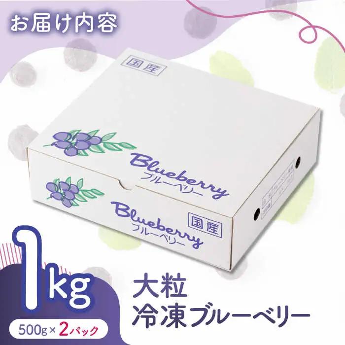 大粒 冷凍ブルーベリー 約1000g（約500g×2pc） 【すみれファーム】果物 フルーツ くだもの 大粒 小分け 熊本県産ブルーベリー [ZEP007] 