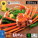 【ふるさと納税】浜茹で 越前がに≪竹セット≫2〜3人前 かに酢 食べ方しおり スプーン付き【雄 ズワイガニ ずわいがに 姿 ボイル 福井県】【選べる杯数！1〜3杯】【12月発送分】希望日指定可 備考欄に希望日をご記入ください [e04-x008_12]