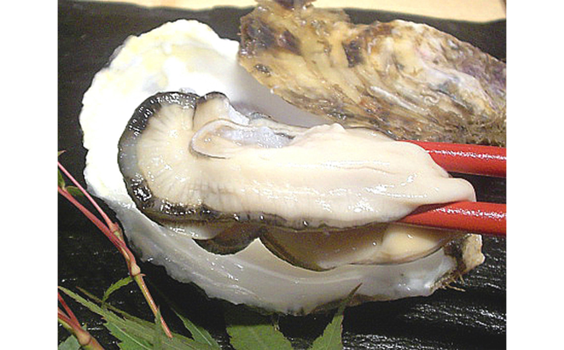 殻付き牡蠣20個＋オイスターナイフ