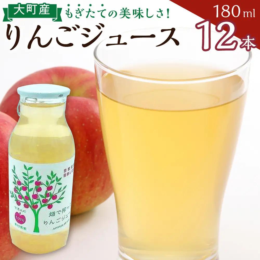 りんごジュースセット12本×180ml　大町産 りんごジュース 長野 信州
