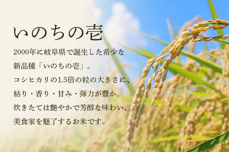 【令和7年産】獅子米 いのちの壱 精米 5kg 岡田ファーム コンテスト受賞米 お米 白米 米 おこめ ブランド米 5キロ 国産 単一原料米 コメ こめ ご飯 銘柄米 茨城県産 茨城 産直 産地直送 