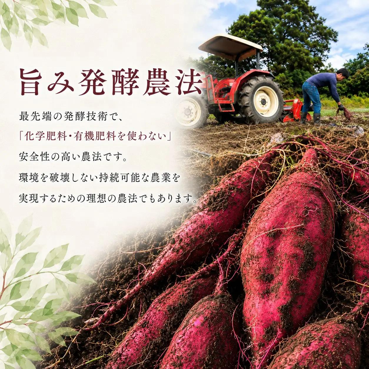 干し芋 150g×5袋 750g 紅はるか さつまいも