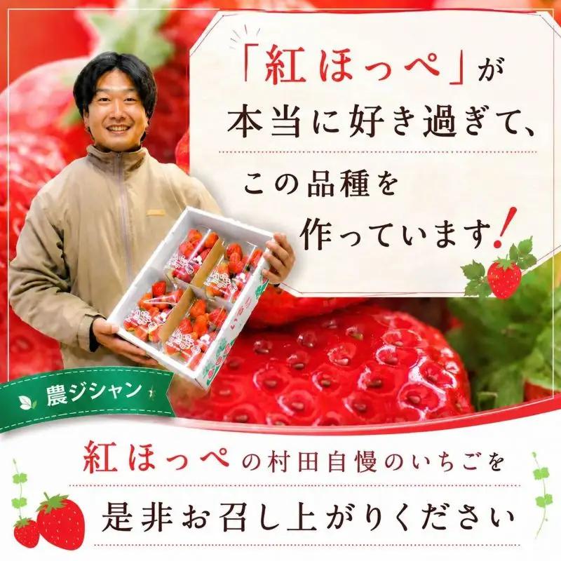 【2027年2月発送】 いちご 紅ほっぺ 計1080g 約270g×4パック いちご