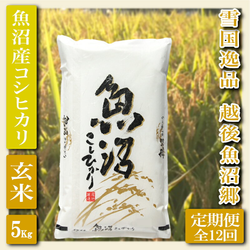 【ふるさと納税】【定期便：雪国逸品 玄米5Kg×12ヶ月】越後魚沼郷 魚沼産コシヒカリ お米 ブランド米 銘柄米 ご飯 おにぎり お弁当 和食 産地直送 香り つや 粘り 　お届け：寄附入金月の翌月より発送