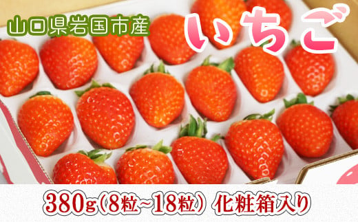 
山口県岩国市産「いちご」1パック 380g（8粒～18粒）化粧箱入り
