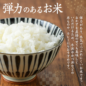 鹿児島県 出水市産 ヒノヒカリ 山水米 5kg 白米 精米 【JA鹿児島いずみ(米)】 i070