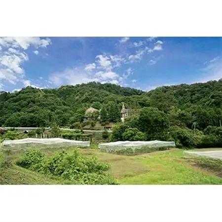 6月の森「ビーフシチュー」1個_惣菜・加工品 シチュー  _【配送不可地域：離島】【1115374】