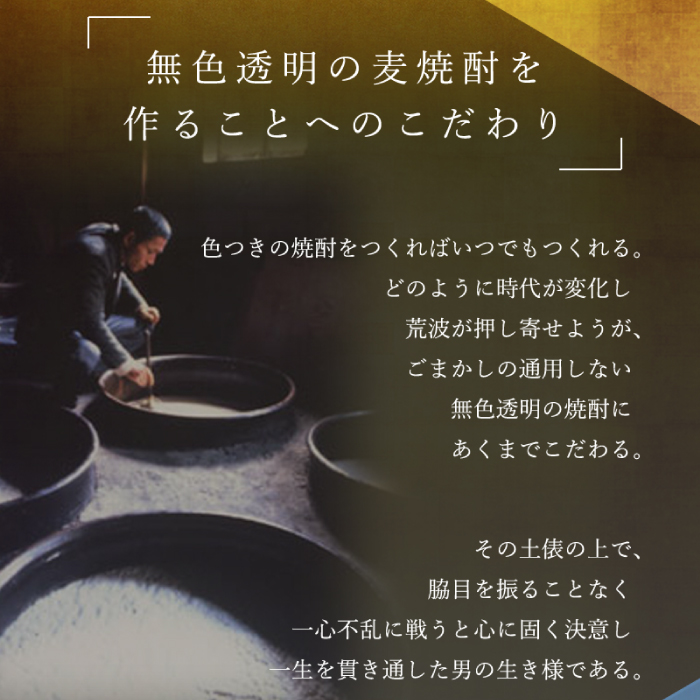 【全6回定期便】隆美焼酎25度と壱岐の島 かめ貯蔵 のセット [JDB250] 66000 66000円