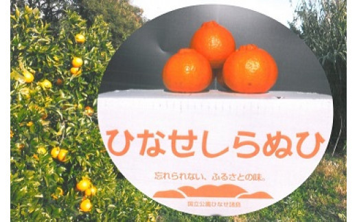 【先行予約】みかん ひなせしらぬい 約5kg（2027年3月頃発送）【備前市 ひなせ 果物 フルーツ みかん ミカン ひなせ 柑橘類 しらぬい 不知火 先行受付】