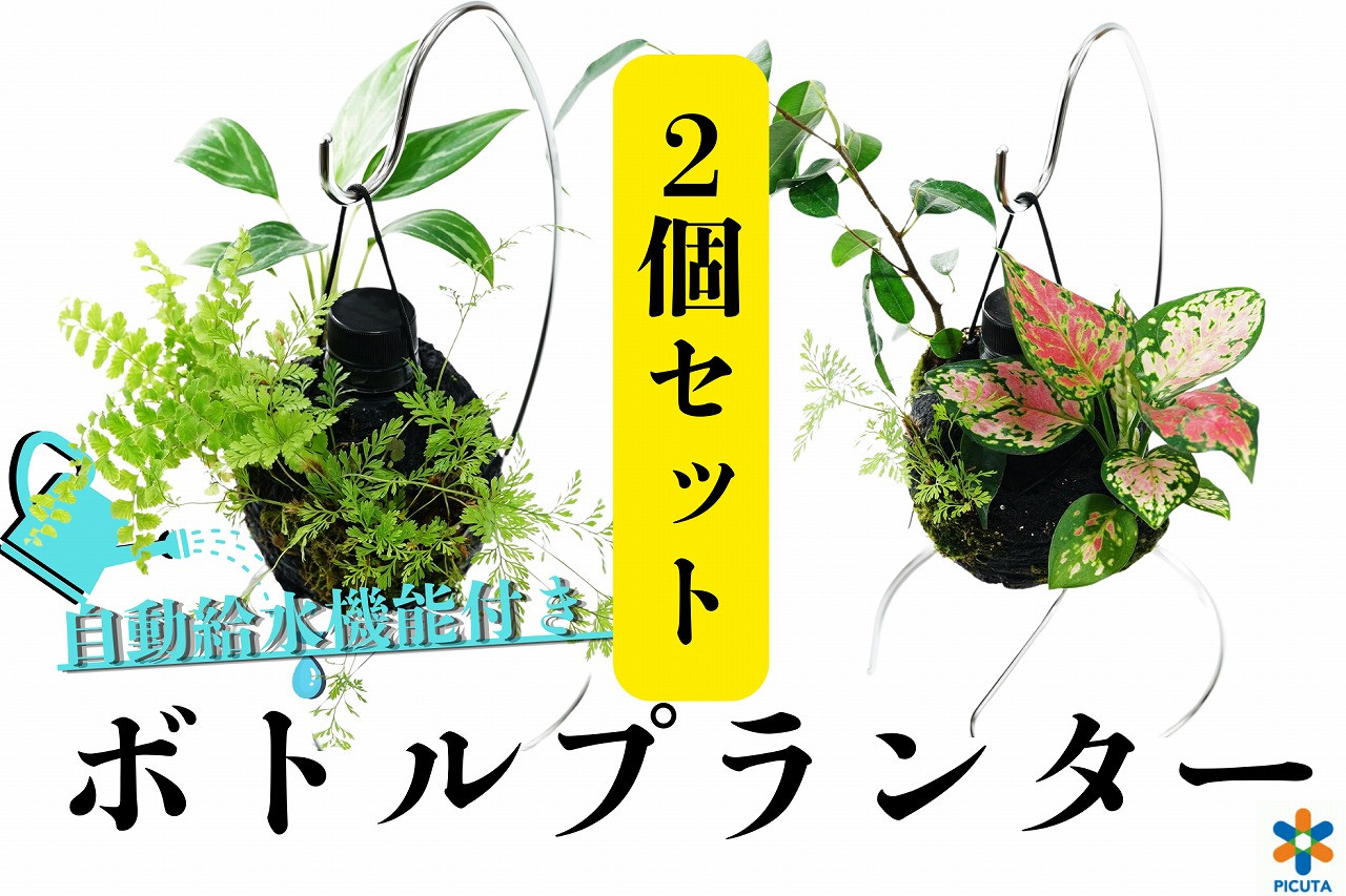 ボトルプランター