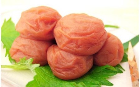 梅干 梅干し 梅 南高梅 紀州南高梅 大容量 リンゴ / りんご梅1kg【kns006】