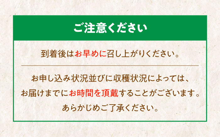 【先行予約】【10月上旬から順次発送】「梨の王様」特大新高 梨2kg（4個から6個入り）　愛媛県大洲市/幸野観光なし園 [AGBD001]梨 果物 秋の味覚 フルーツ なし  おやつ かおり 朝ごはん