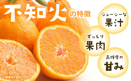 みかん 不知火 ご家庭用 5kg サイズ混合