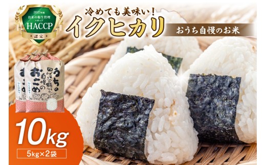 おうち自慢のお米 イクヒカリ10kg