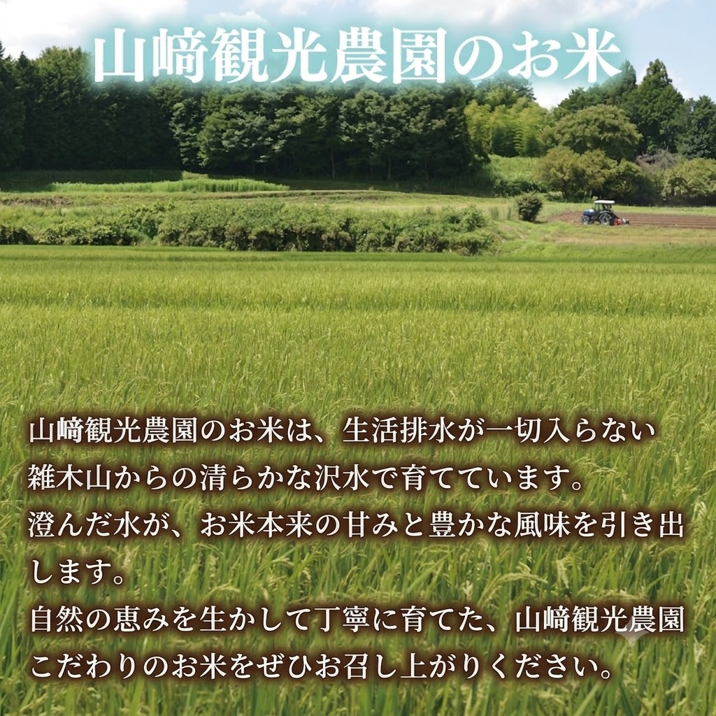 ＼先行予約・12月発送／山﨑観光農園のお米　とちぎの星　白米5kg｜ 益子町 お米 白米 精米 令和8年 5kg（AU046-12）