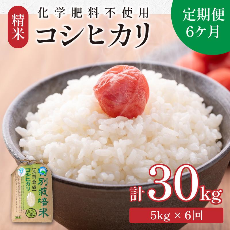 【令和6年産 新米】【定期便６回】 化学肥料不使用コシヒカリ 精米 5kg×6回 （計30kg）/ 白米 米 福井県あわら市産 美味しい 特別栽培米 減農薬 安心な米 旨味 甘み もっちり エコファーマー こしひかり 冷蔵保管米