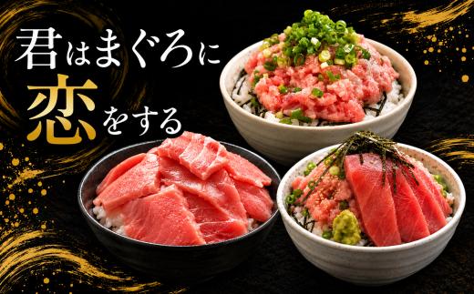 【定期便12回】天然マグロ づくし丼 2種盛り 合計450kg | ネギトロ 250g 切り落とし 200g セット まぐろ 鮪 マグロたたき 海鮮 海鮮丼 小分け 冷凍 最短7日以内発送 清幸丸水産