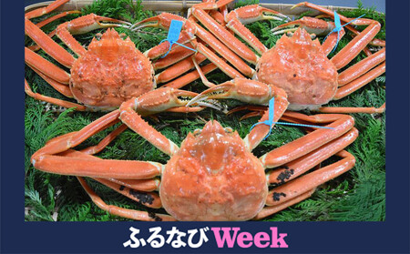 【訳あり】金沢港より直送！サイズおまかせボイル加能ガニ 3杯セット 蟹 かに