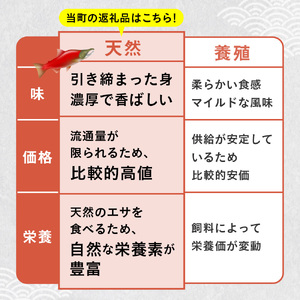 【訳あり】紅鮭 無添加 不揃い 規格外 切り落とし 1kg 厚切り 天然 無着色 大容量 お試し 鮭 さけ しゃけ サケ 冷凍 冷凍食品 切身 切り身 おつまみ おかず 惣菜 弁当 朝ごはん 長期保存