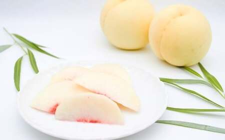 桃 2024年 先行予約 岡山 白桃（晩生種）ご家庭用 約1.9kg 6～9玉入り もも モモ 岡山県産 国産 フルーツ 果物 直送！せとうちバスケット