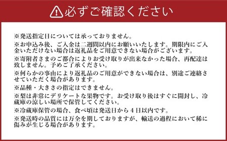 《先行予約》 山之上の梨 （ 品種はおまかせ ） 約5kg （ 8～14玉 ） 【2026年8月下旬～10月上旬発送予定】