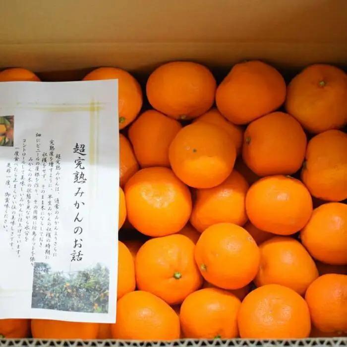 ［濃厚・まろやか］有田産樹上越冬完熟みかん5kg（2S～Mサイズ混合・秀品）★2027年1月下旬頃より順次発送