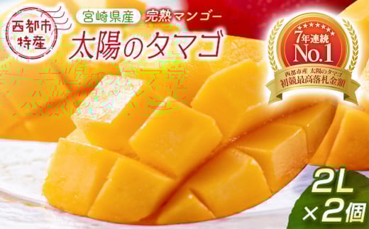 【先行予約】最高級ブランド『太陽のタマゴ』2L×2個【糖度15度以上】宮崎県西都市産完熟マンゴー ＜18-6a＞2026年発送