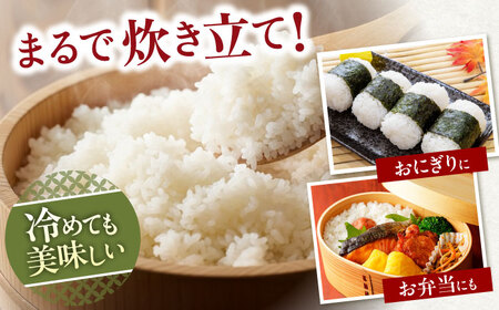 【令和7年産新米】きぬむすめ5kg 滋賀県長浜市/阿辻農園[AQAW015]