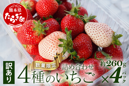 【訳あり】熊本県産いちご 詰め合わせ 約260g×4パック 産地直送 国産 新鮮 フレッシュ 果物 苺 103-0010