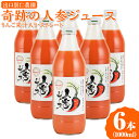 【ふるさと納税】奇跡の人参ジュース 出口崇仁農園【1000ml×6本】りんご果汁入り・ストレート｜にんじんジュース 野菜ジュース ドリンク 果汁※離島への配送不可