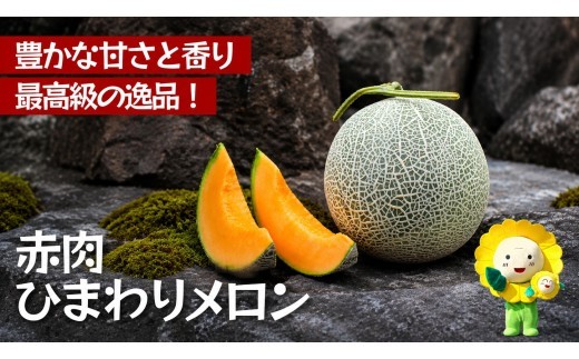 ひまわり メロン 赤肉 / 高級 北海道 贈答 高糖度 国産 甘い 2玉 ※9月中旬から10月中旬に順次発送 2玉 1箱 【sun514-aka-2A】
