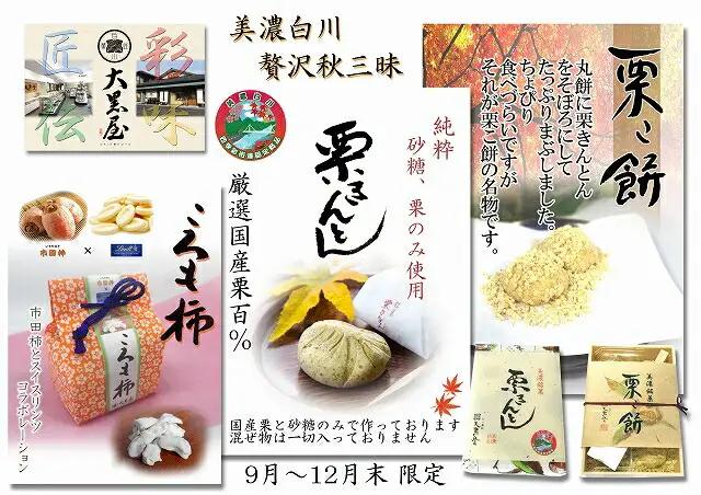 贅沢秋三昧セット 和菓子 栗きんとん 栗こ餅 【9月上旬から配送】白川町 / 白川菓匠 大黒屋[AWAA002]
