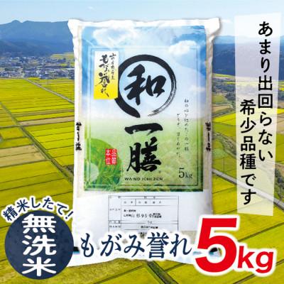 ふるさと納税 最上町 【令和7年産先行受付】山形県産もがみ誉れ5kg(無洗米)