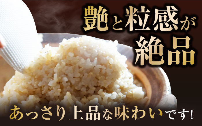 特別栽培米 みずかがみ 5kg 玄米 ×2袋　米 お米 玄米  10kg