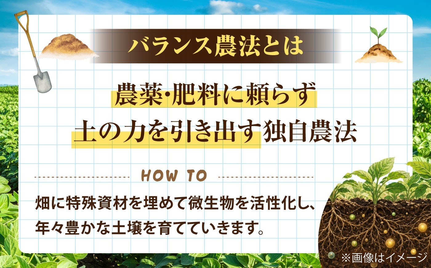 大豆 だいず ダイズ ユキホマレ 乾燥大豆 豆 まめ 手作り味噌 煮豆 節分