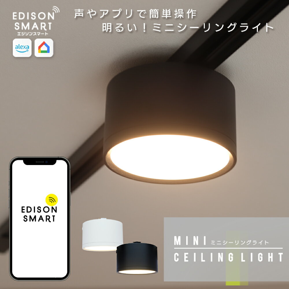 【ふるさと納税】エジソンスマート ミニシーリングライト for ダクトレール 福岡市