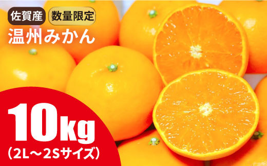 
                  【11月以降順次発送】佐賀県産温州みかん 10kg　2S～2Lサイズ　 [FBT019]
                