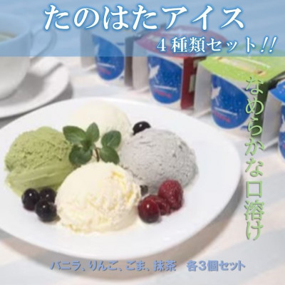 
                  たのはたアイスクリームセット(NTK-4)【1298145】
                