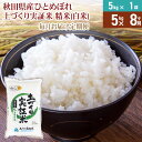 【ふるさと納税】【白米】《定期便》 5kg×8回 令和6年産 ひとめぼれ 土作り実証米 合計40kg 秋田県産