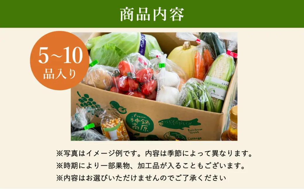 神鍋高原 季節の新鮮野菜 詰め合わせ 5～10品
