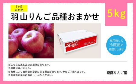 りんご 【3ヶ月定期便】品種おまかせ！羽山のりんご5kg×3回 りんご リンゴ 果物 フルーツ【斎藤りんご園】