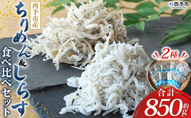 ＜ちりめん＆しらす干し 食べ比べセット 合計850g（ちりめん70g×5袋 しらす干し100g×5袋 ）＞ 西予市産 詰め合わせ チリメン シラス 魚介 海産物 海鮮 家庭用 贈答用 小分け 国産 特