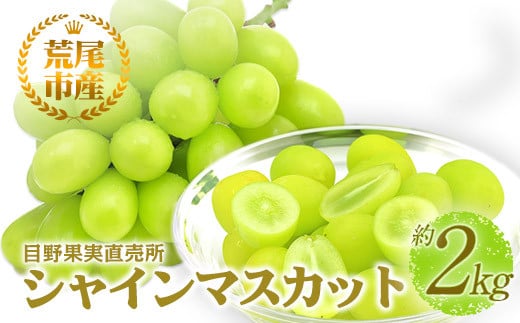 シャインマスカット 目野果実直売所のシャインマスカット 約2kg フルーツ 果物 新鮮 マスカット 《8月上旬-9月下旬頃出荷》 目野果実直売所