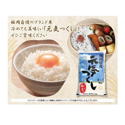 ふるさと納税 福智町 令和7年産 無洗米 元気つくし5kg |  | 03
