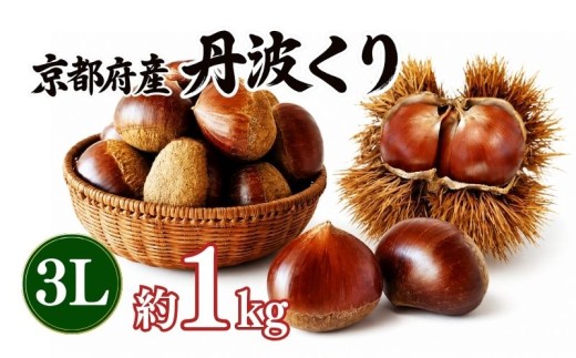 《先行予約》  2026年度産 丹波くり 約1kg 3Lサイズ