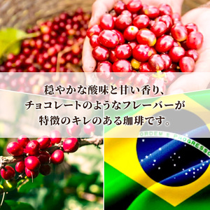 自家焙煎珈琲　シングルオリジン　JASブラジル　200g 兵庫県 洲本市 淡路島         粉