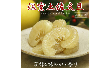 【先行予約】特選温室土佐文旦 特選秀品ご贈答用中箱 2個入り 約1.5kg〈2026年12月上旬から12月下旬頃〉高知県 土佐市【白木果樹園】 [BQAI037]