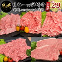 【ふるさと納税】日本一の宮崎牛定期便【毎月29日は都城のお肉でお肉時間】 - 全てA5ランク 全て宮崎牛 特選カルビ焼肉用/牛モモスライス肉/牛モモ焼肉/牛リブローススライス/牛サーロインステーキ 送料無料 T105-5-A001【宮崎県都城市は2年連続ふるさと納税日本一！】